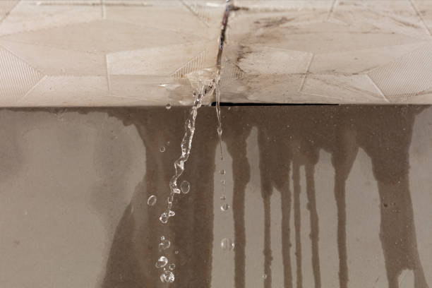 Professional Structural Drying technician working in Pleasant Grove, OH